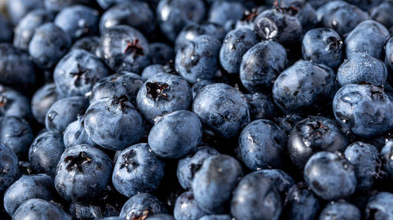 Fresh blueberries piled together