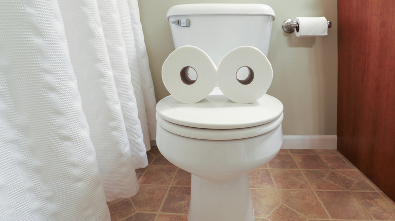 toilet with two rolls of toilet paper on top