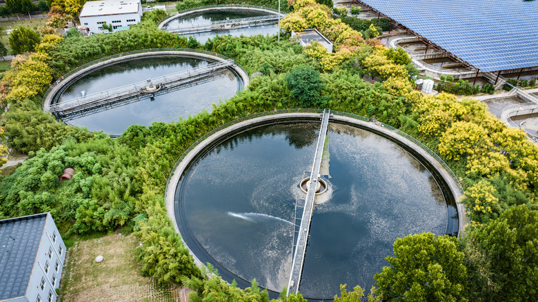 A city's sewage treatment plant