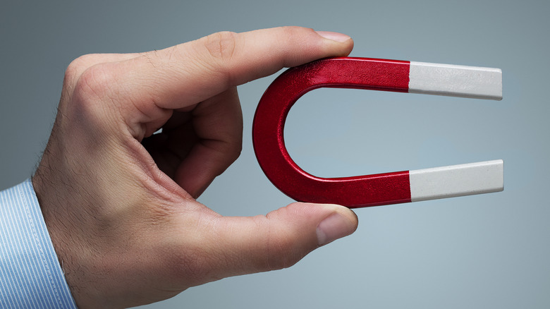 hand holding a magnet