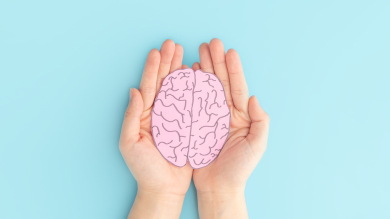 Hands holding human brain shape made from paper 