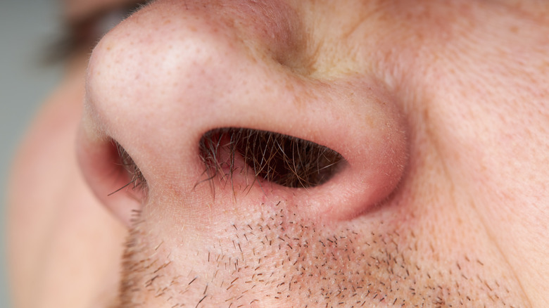 Nose with long nose hairs