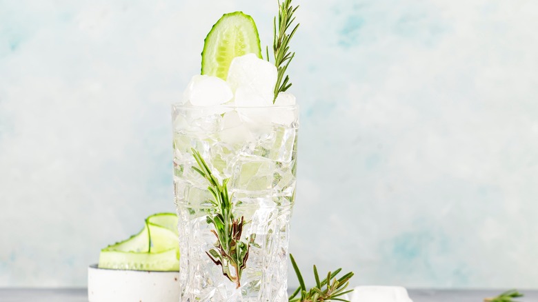 gin and tonic with cucumber and rosemary