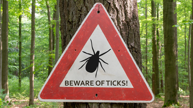 tick warning sign on a tree in forest