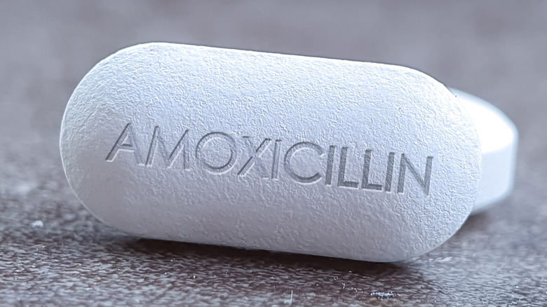 white amoxicillin pill on gray background