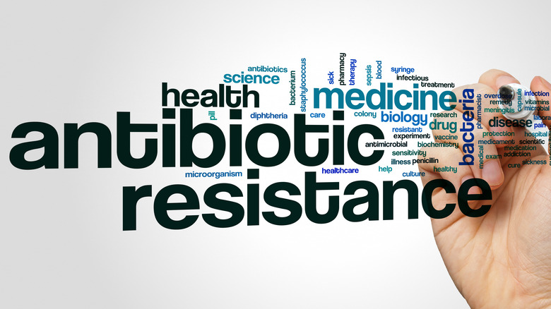 words antibiotic resistance with other words