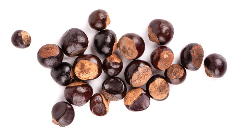 Guarana seeds on white background