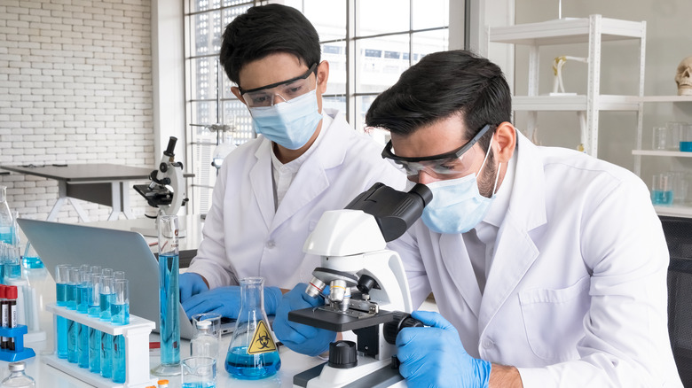 Two scientists in a lab conducting research using test tubes and a laptop