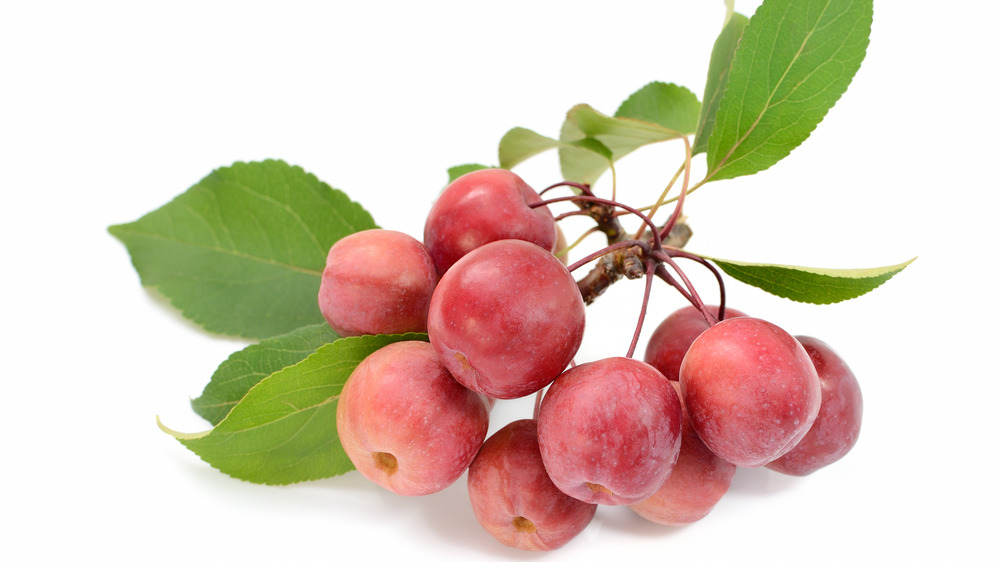 Red crab apples on white background