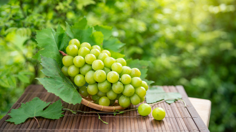 freshly picked nutritious grapes