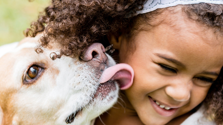 dog licking little girl