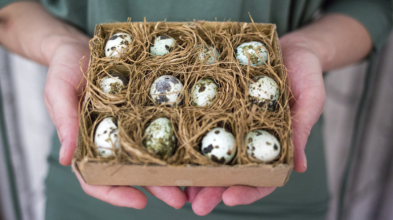 woman holding a crate of quail eggs