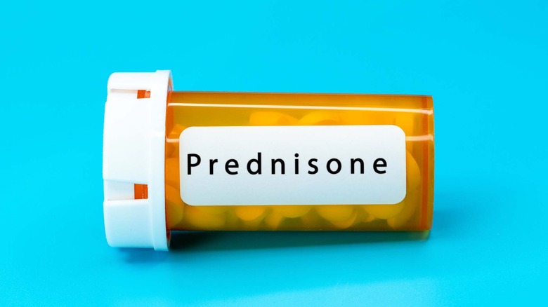 a pill bottle labeled prednisone 