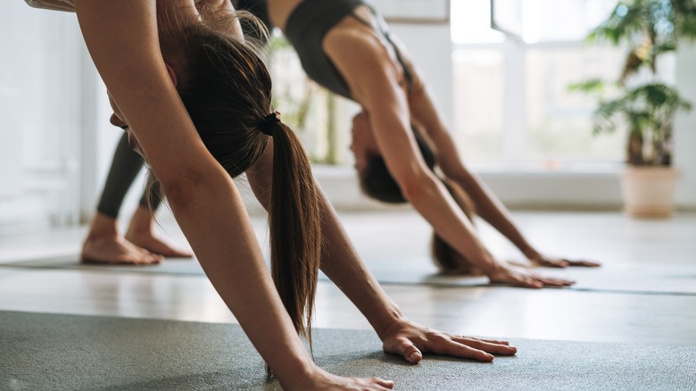 two women in downward dog pose