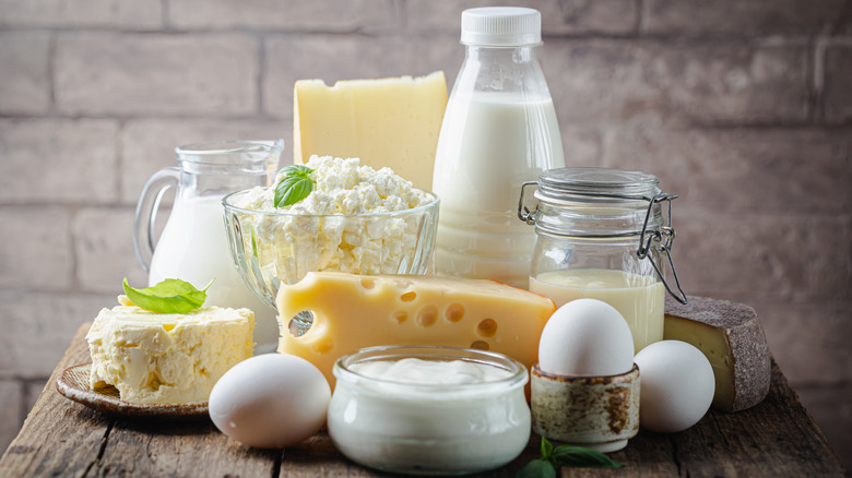 Dairy products with milk and cheese