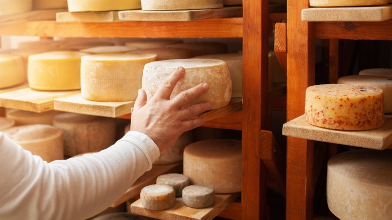 aged cheese in cellar