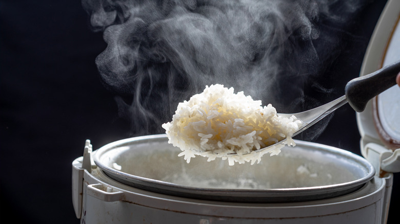 White rice being removed from a rice cooker