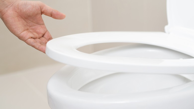 hand lifting toilet lid