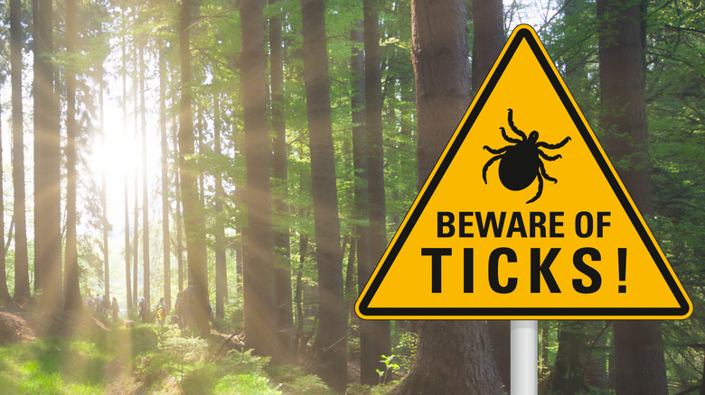 Beware of ticks sign on hiking trail