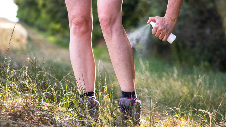 Hiker spraying repellant on their legs