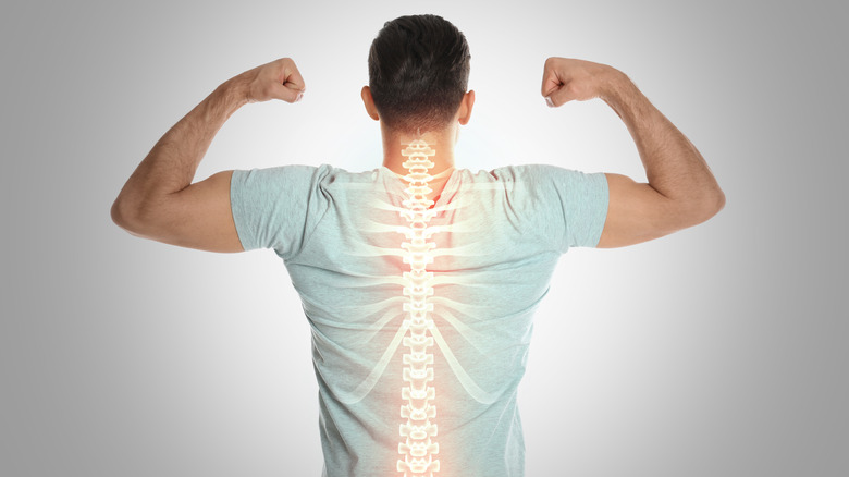 picture of a young man with image of a healthy spine
