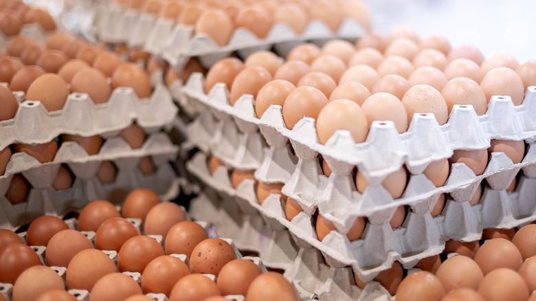 Eggs on cartons for sale