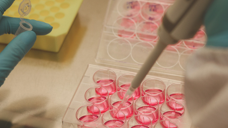 closeup of scientists working with test tubes 