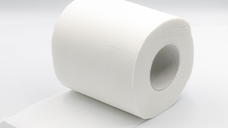 toilet paper on white background