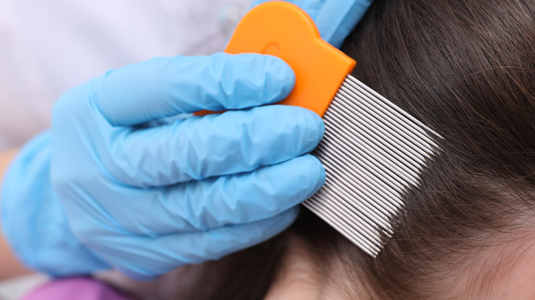 doctor combing hair inspecting for lice