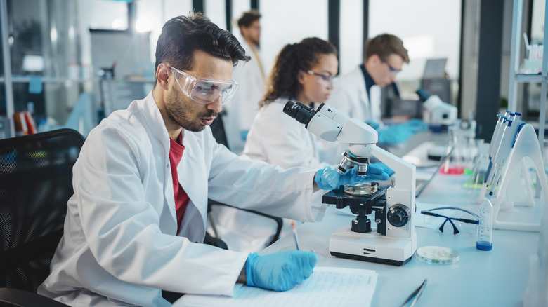 scientists working in lab