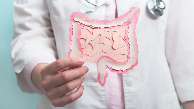 doctor holding intestine paper cut-out