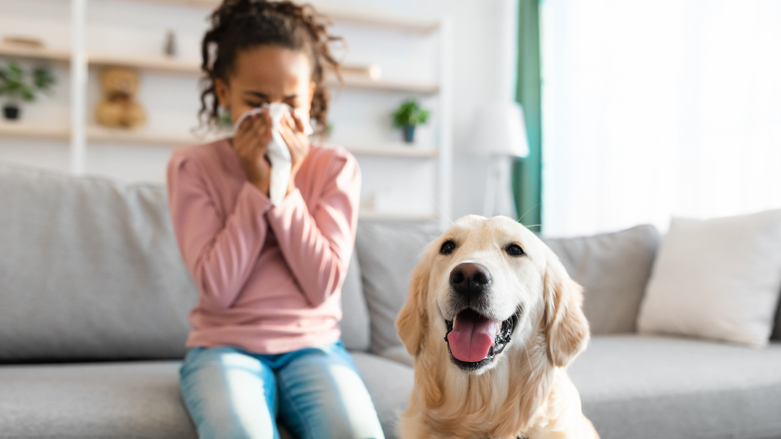 Can Allergies Make You Feel Tired 