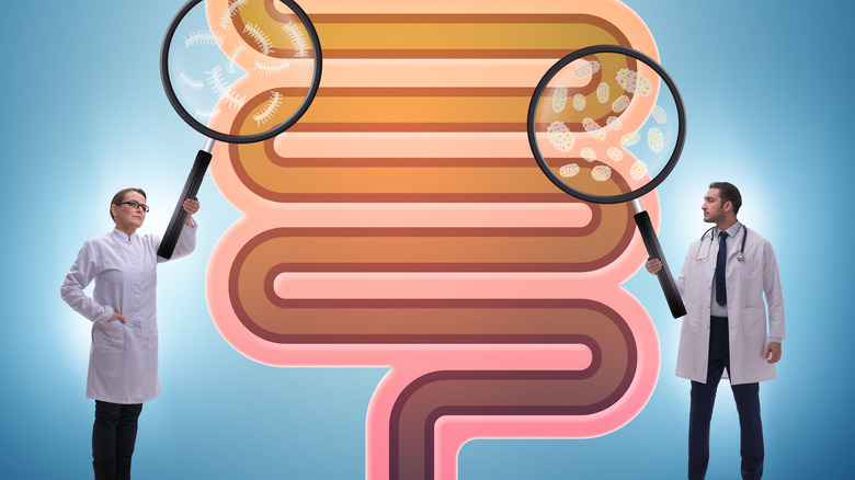 Illustration of the large intestine