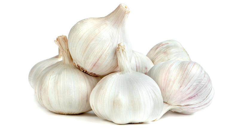 Multiple garlic bulbs on white background