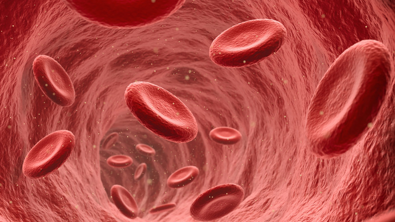 Red blood cells in vein