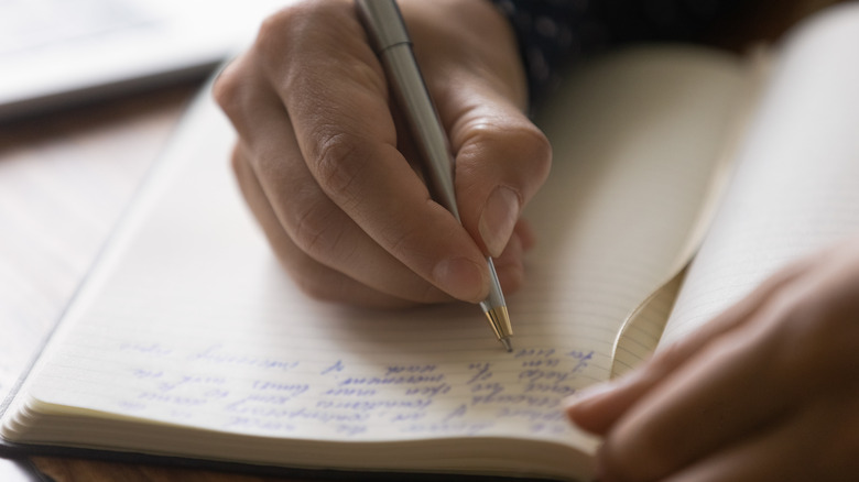 Up close hand writing in journal