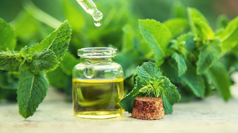 Peppermint oil with peppermint leaf