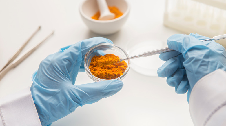 a scientist studying turmeric powder in a lab