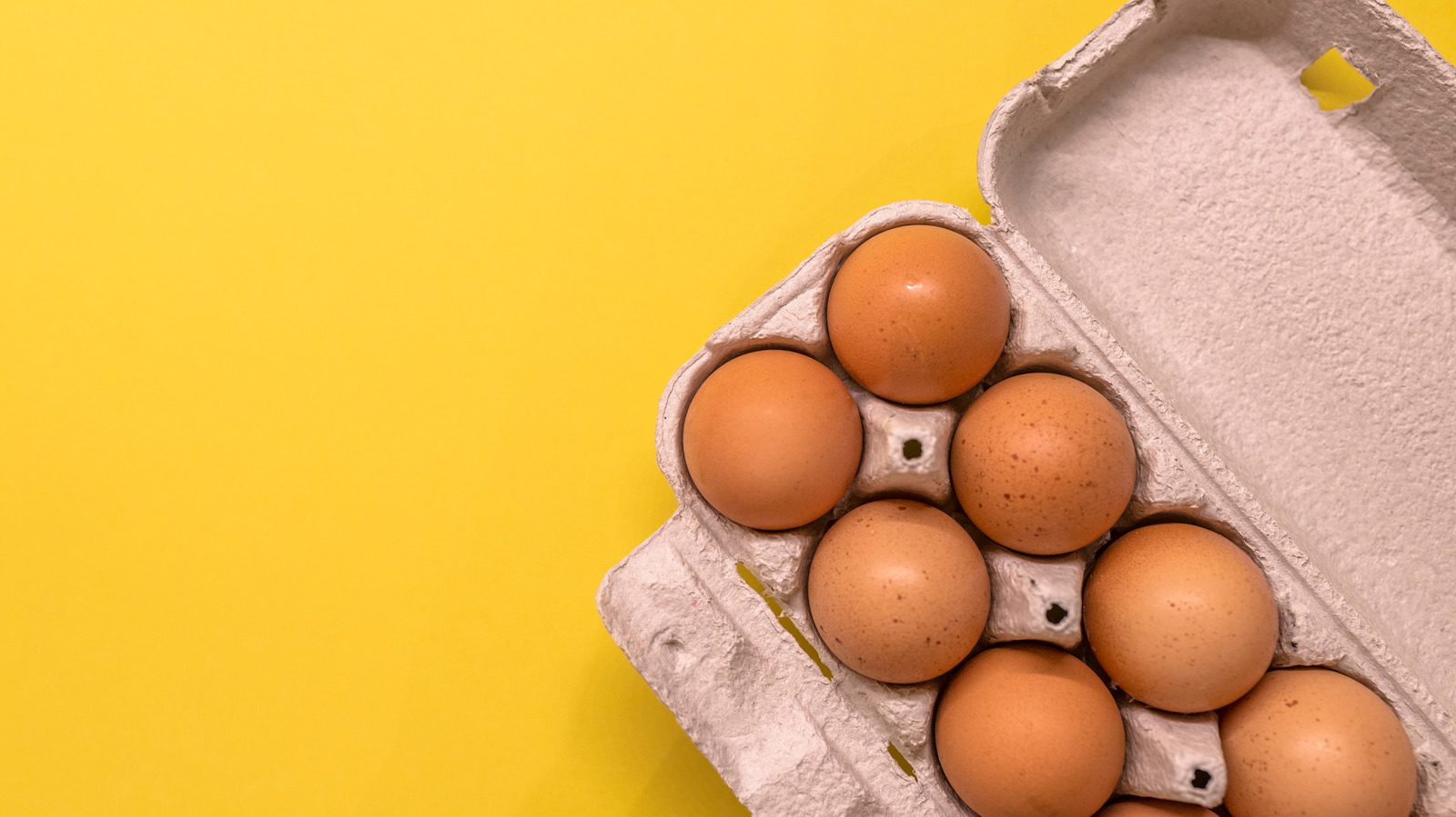 Can Vegetarians Eat Eggs?