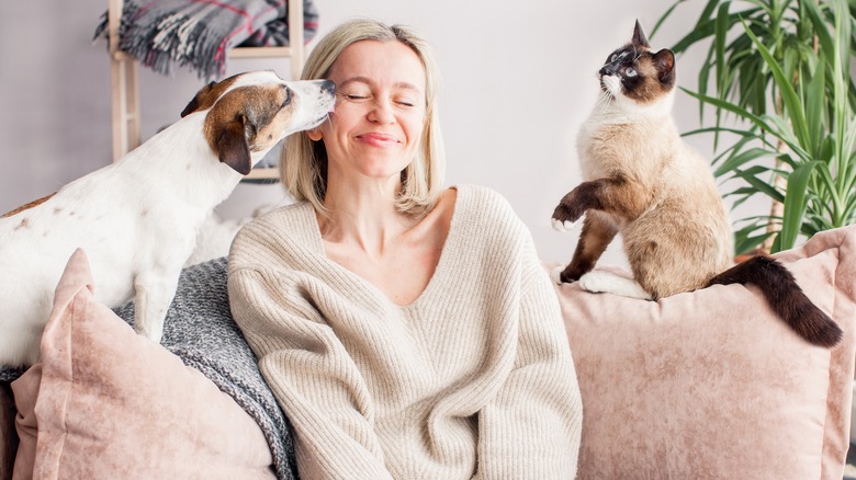 woman on couch with dog and cat