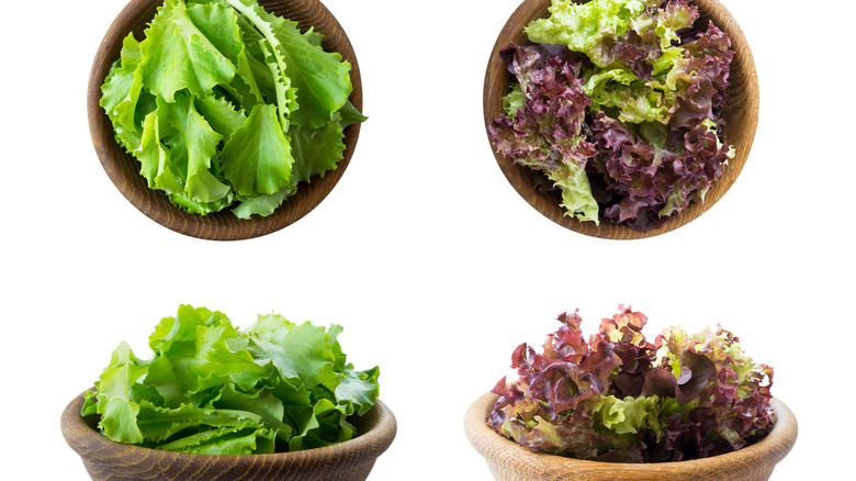 green and red lettuce in bowls