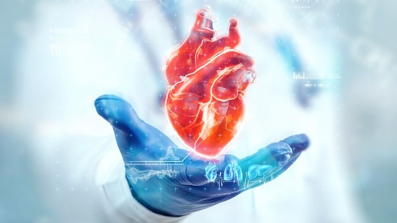 doctor holding a heart