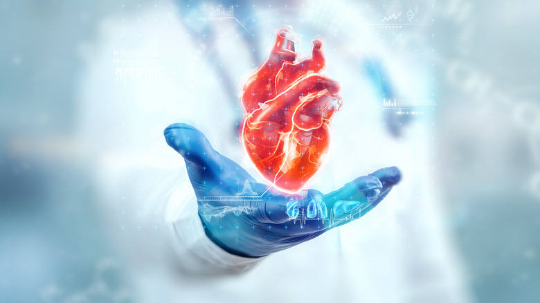 Doctor holding image of heart