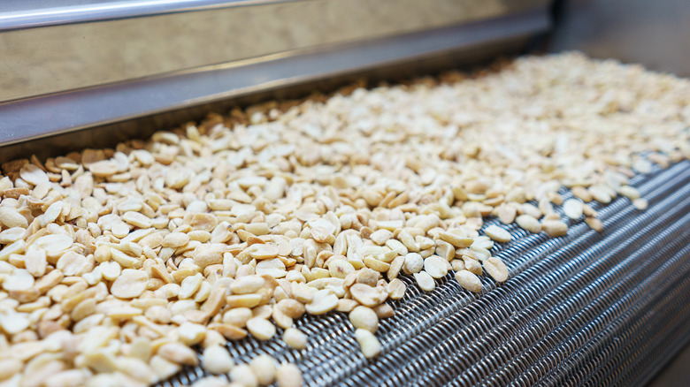 Dry peanuts in processing facility