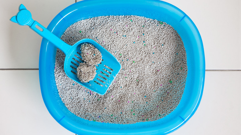 Blue litter box and scooper