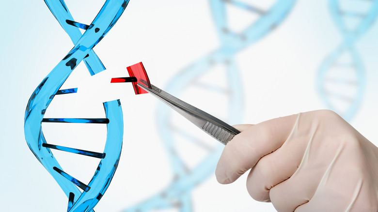 concept of DNA mutation