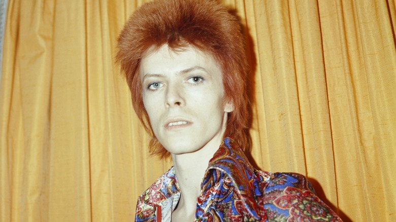 David Bowie posing