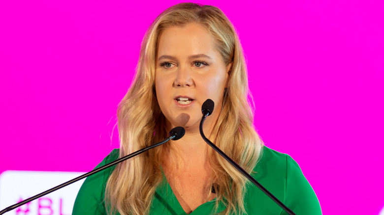 amy schumer