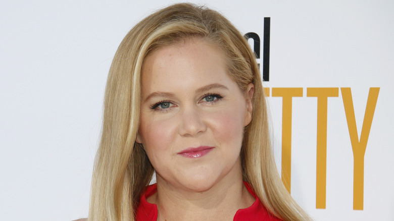 Amy Schumer in red dress