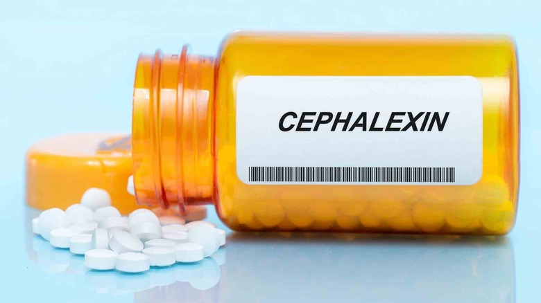 opened bottle of cephalexin tablets